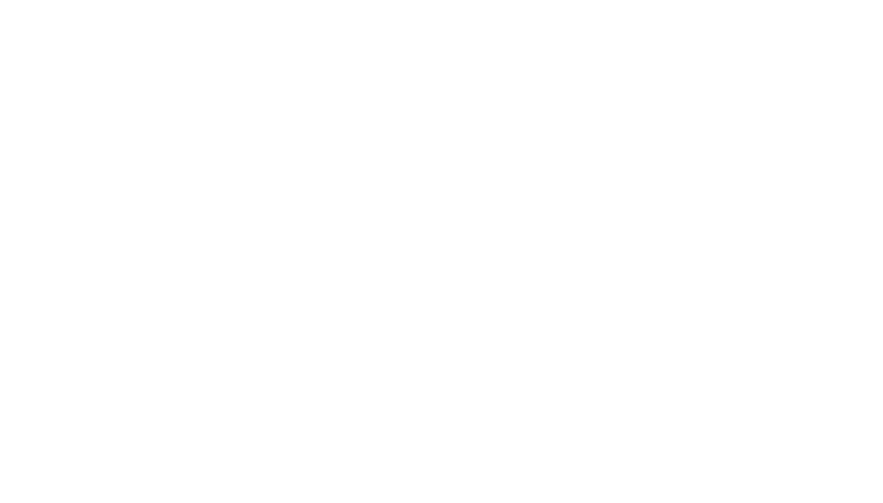 Istituto Restauro Roma
